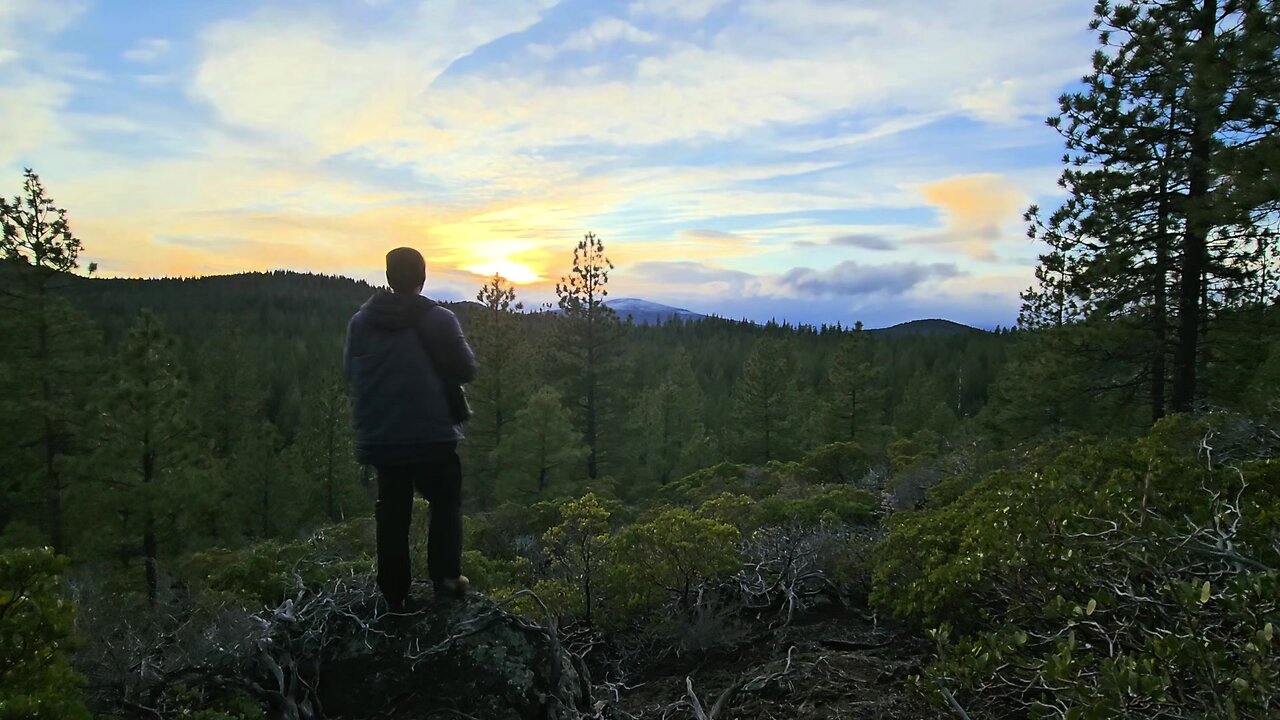 WordHike 133, 2 Ki 18:1-8, 2 Chr 29-31, Ps 48, Col 1