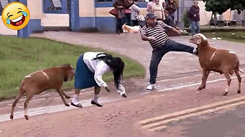 😂 Funny Fails Video Compilation 🤭 People Being Idiots