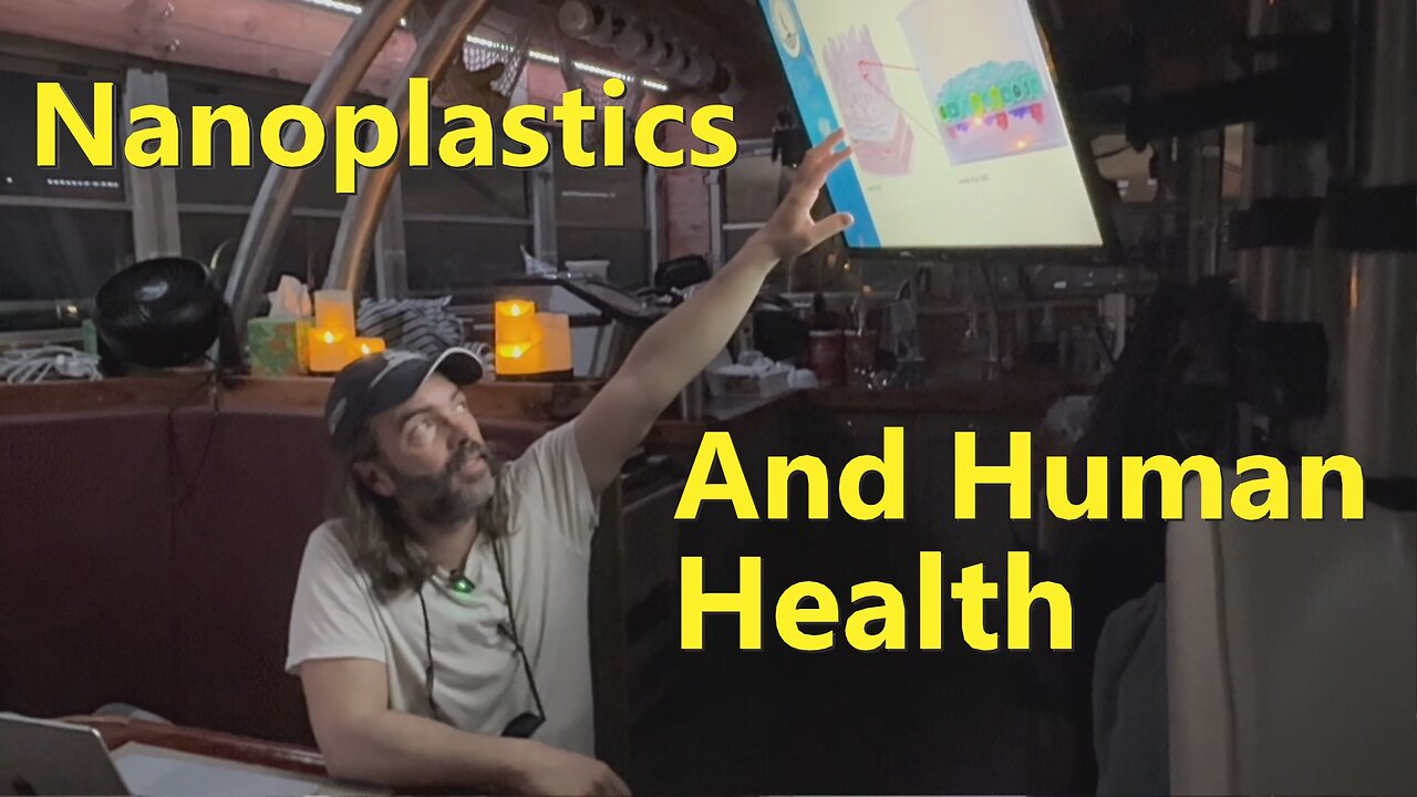 Nanoplastics and Human Health