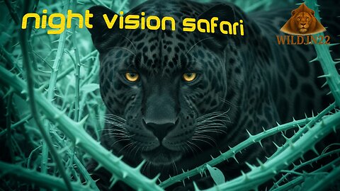 Shadows of the Wild: A Night Vision Expedition