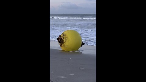 Lemon on the beach