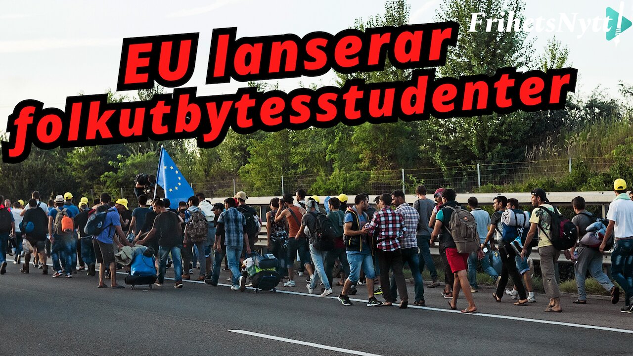 Du betalar miljarder när EU tar in arab-studenter