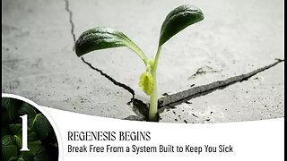 Regenesis Begins: Break Free From a System Built to Keep You Sick