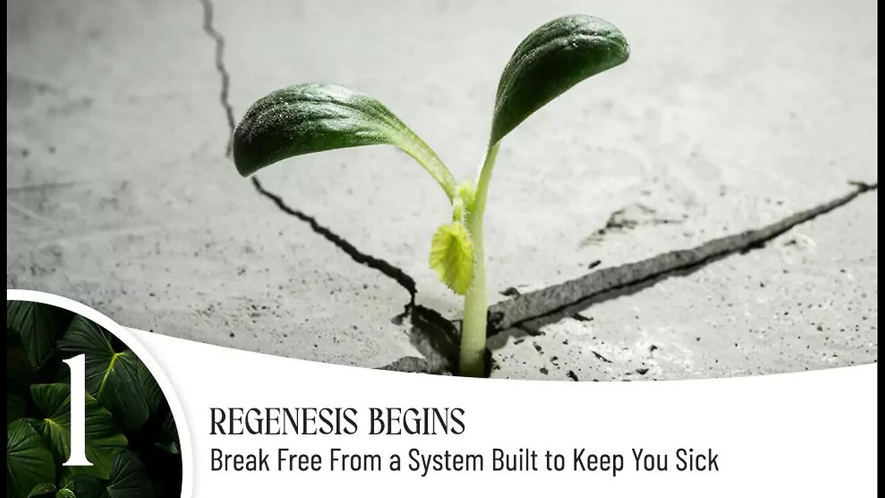 Regenesis Begins: Break Free From a System Built to Keep You Sick