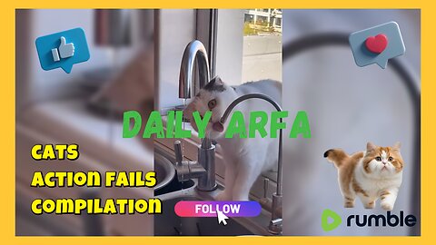 🐈 Failed cat action compilation Part 1 | 😂 #funnycatvideo #viralvideo #cat