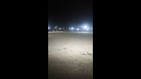 cricket lover
