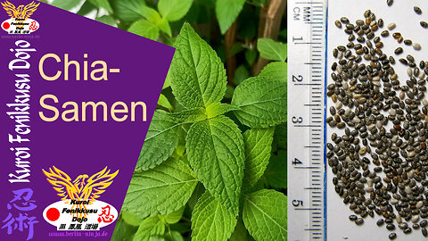 079 - Chia-Samen