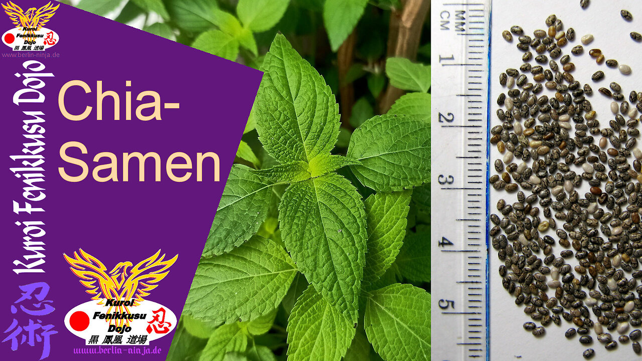 079 - Chia-Samen