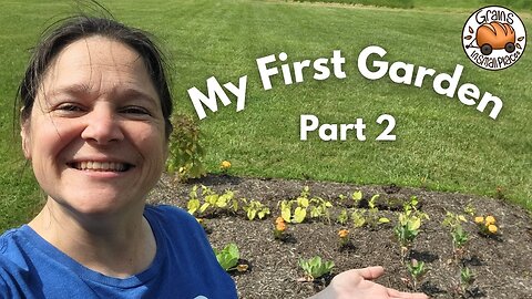 My First Garden Part 2 - Ohio Zone 6a