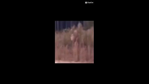 BIGFOOT