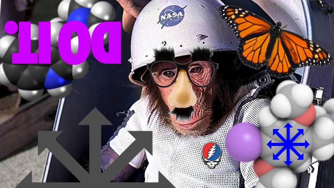 DCOMPOSEUR MONKEY GONE TO HEAVEN