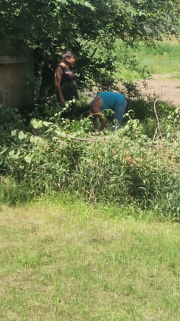 They Don't Care At All