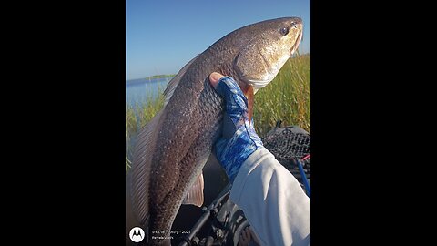 Florida West Coast Fishing Report