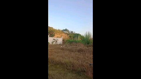 satisfying Video
