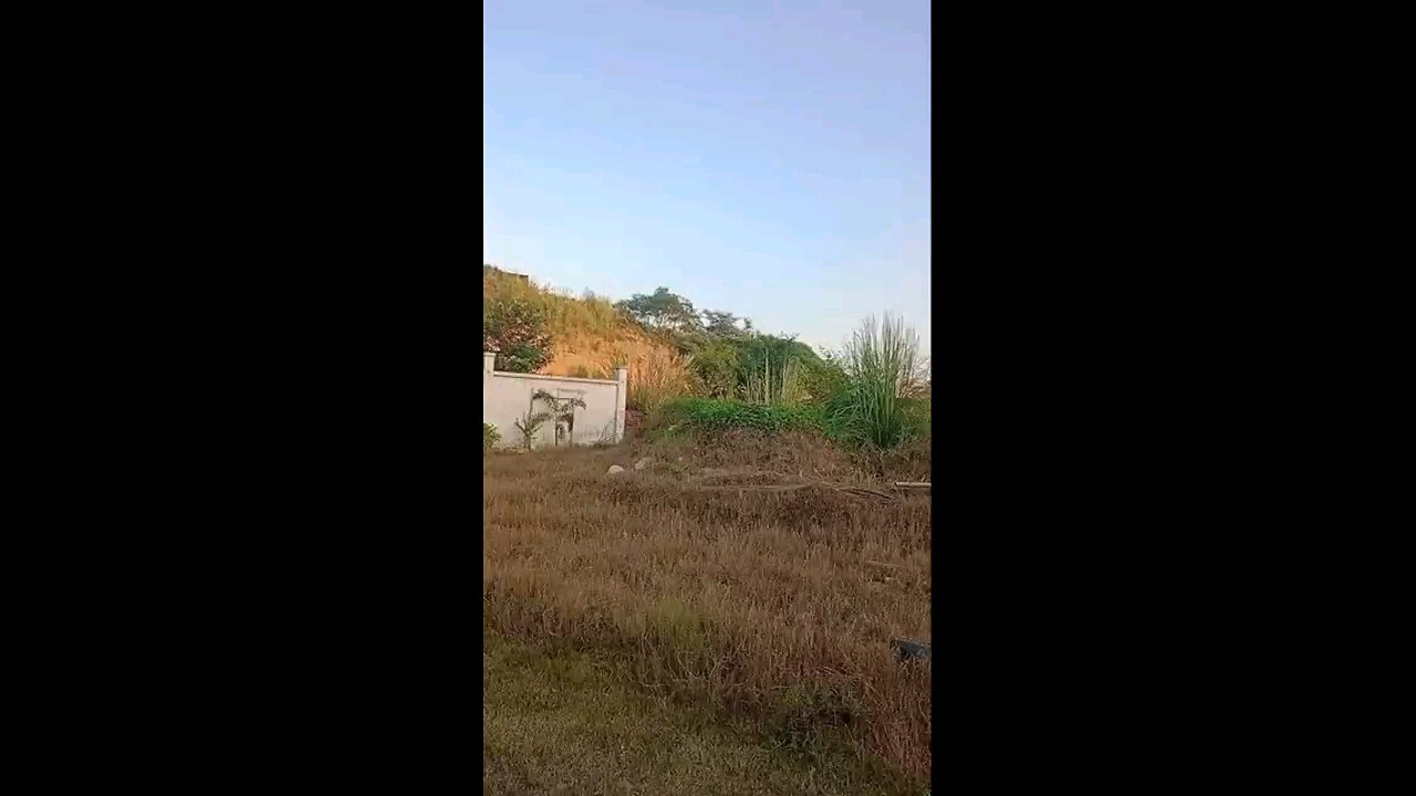 satisfying Video