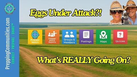 Lets Talk Eggs!