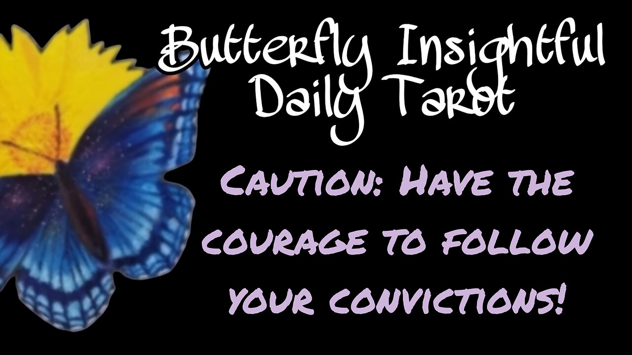 Butterfly Insightful Daily Tarot - Caution! Don't stop, have the courage to push on! Success awaits!