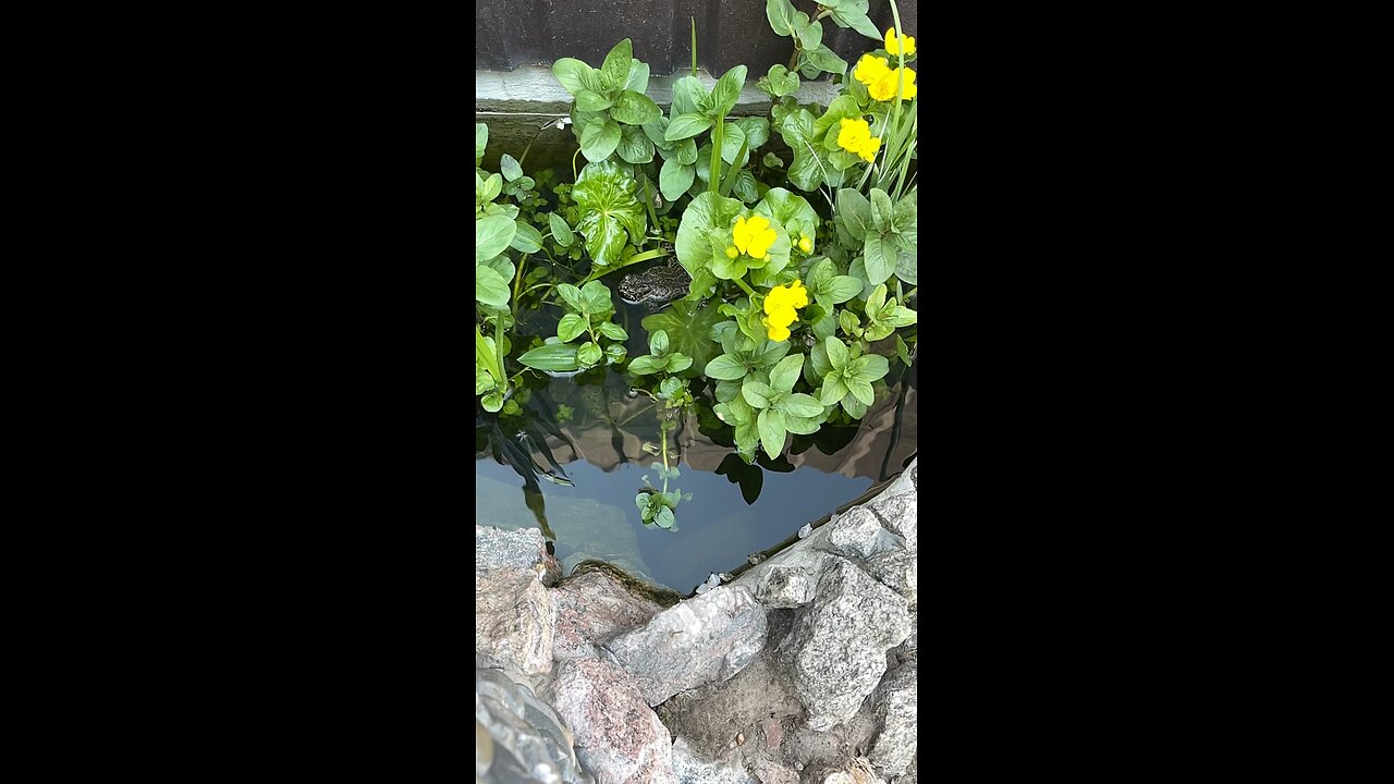 God's creation