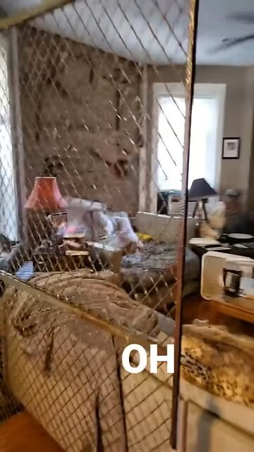 This guy is playing animal crossing in real life