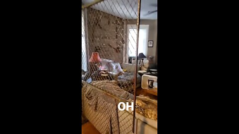 This guy is playing animal crossing in real life