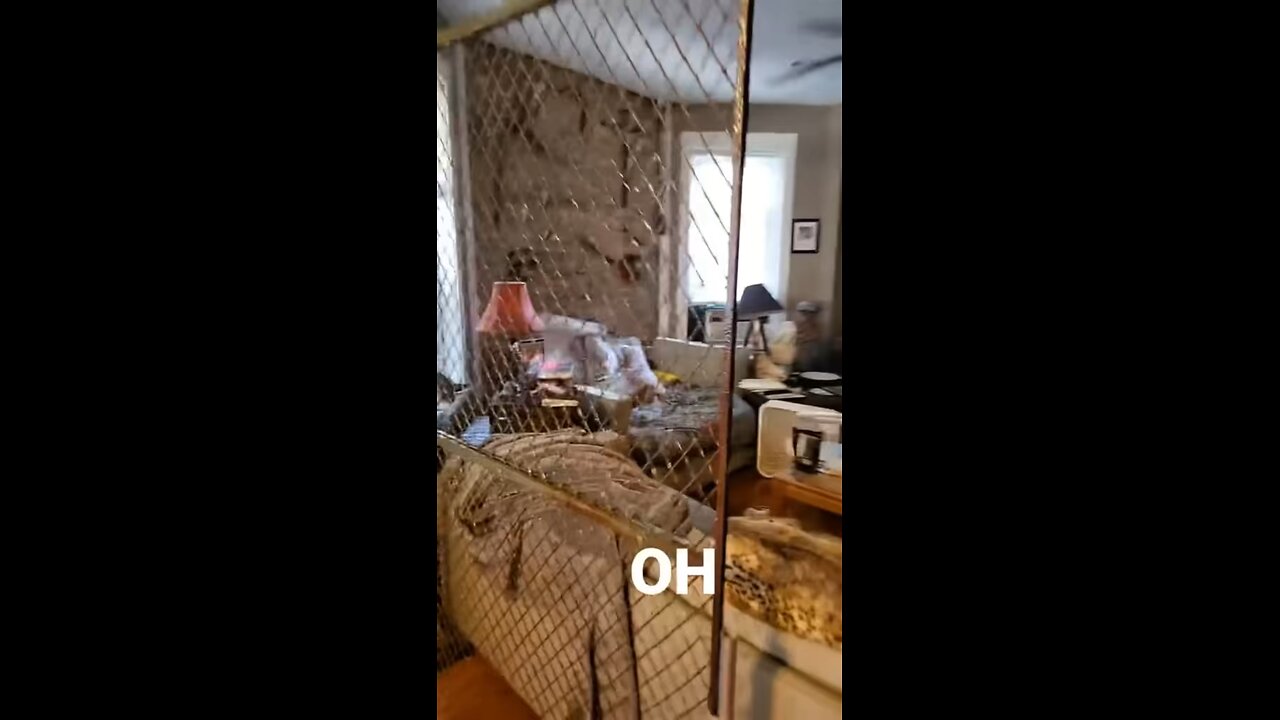 This guy is playing animal crossing in real life