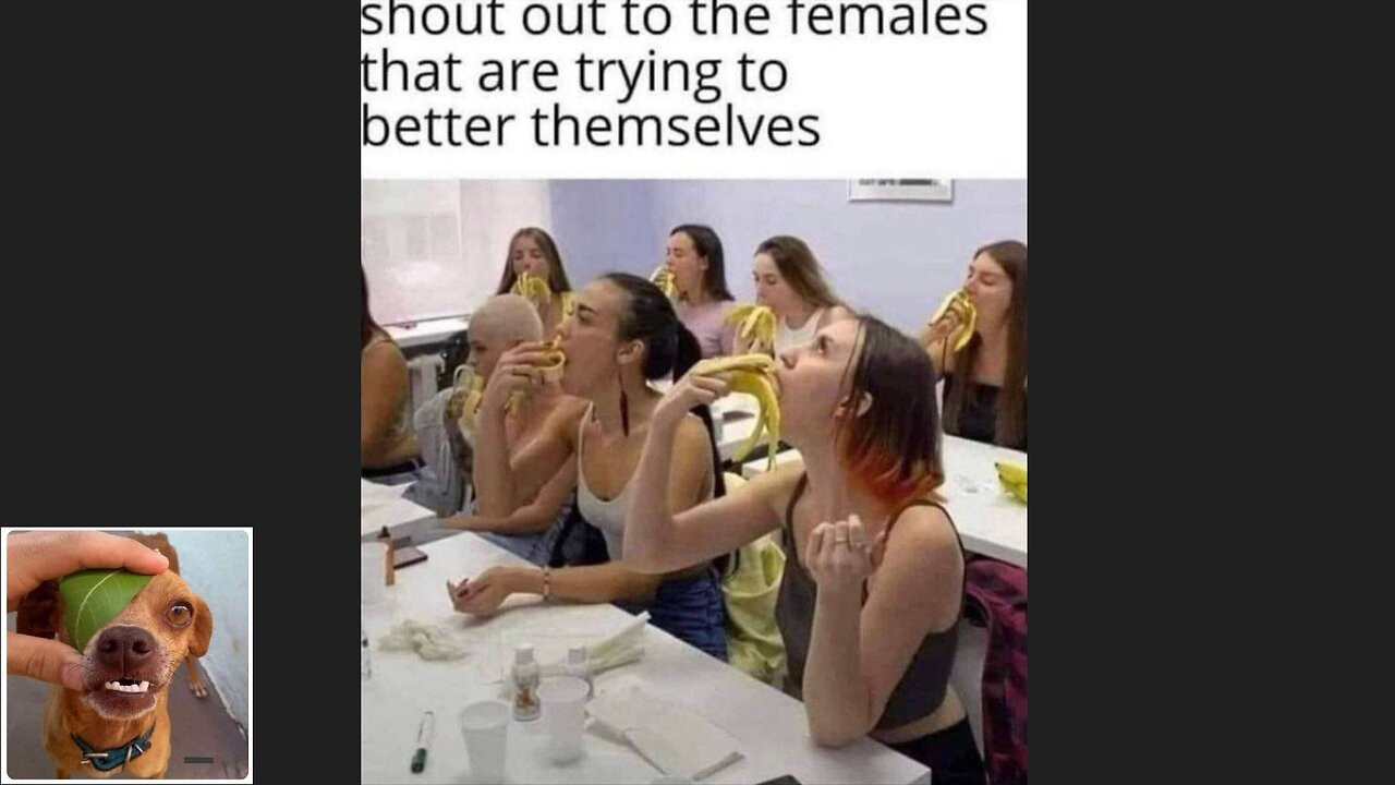 Meme compilation Episodes 571-575.