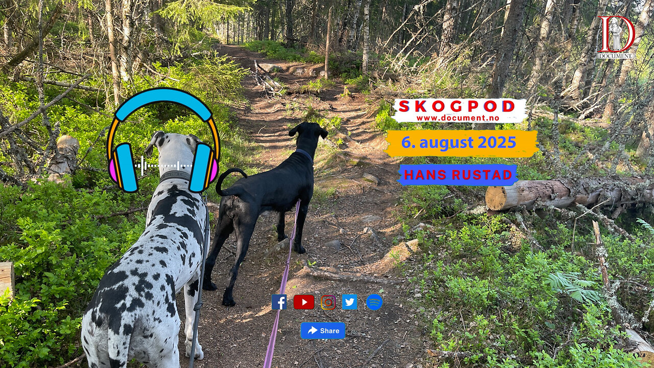 Skogpod 6. august 2025