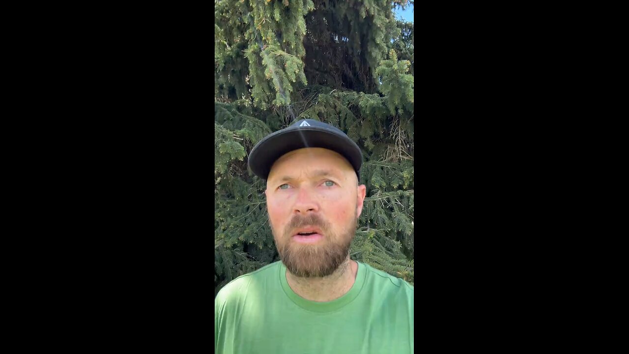 🚨HIGH ALERT MESSAGE 🚨