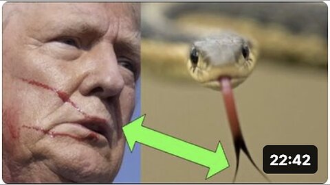 "Trump's Serpent Tongue: 'You Knew I was a Snake Before You Took Me In!'"