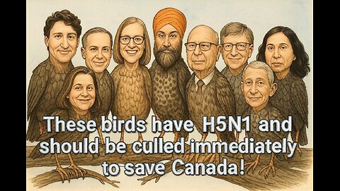 BC ostrich farm developing antibodies that could put an end to the coronavirus