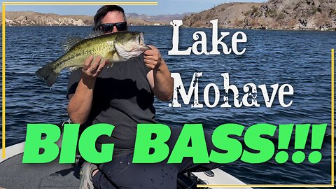 Fishing Lake Mohave: The Winter Bass Surprise. Episode 3.