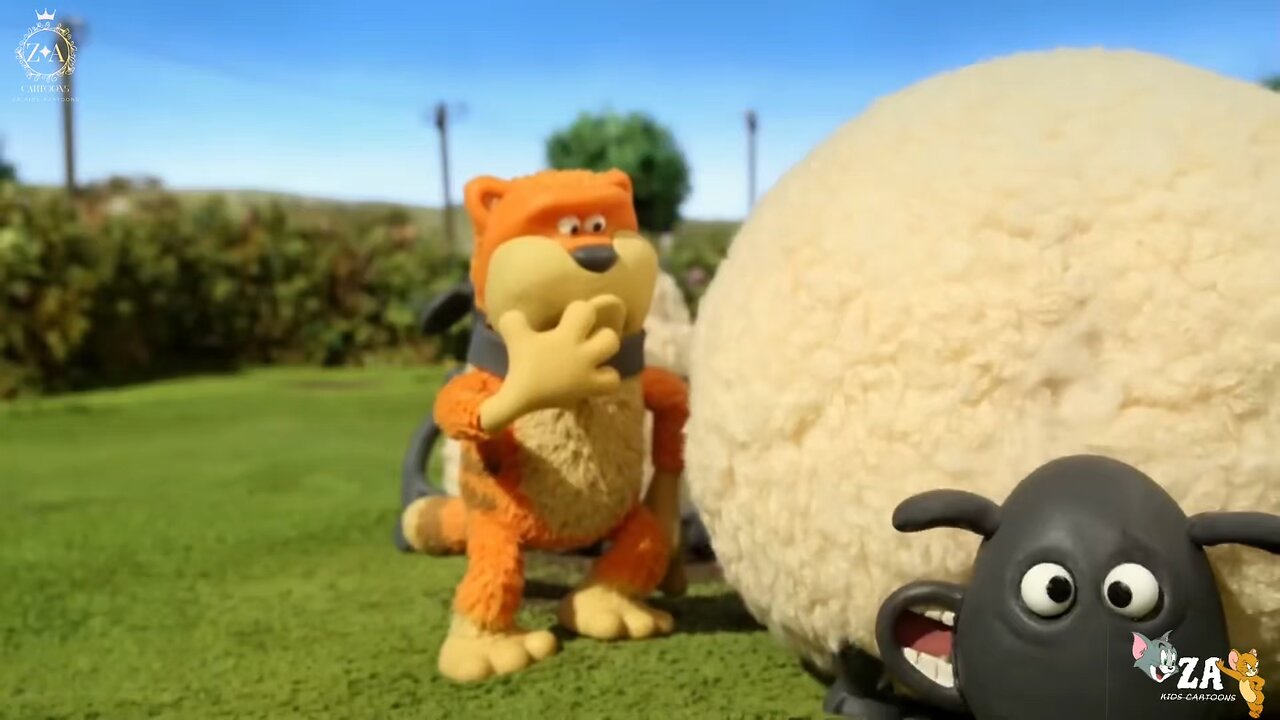 Shaun the sheep Cartoons