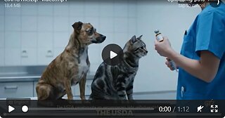 🇬🇧UT🇩🇪🚨 Unsere Haustiere werden aktiv als selbstamplifizierende mRNA-Vektoren eingesetzt,