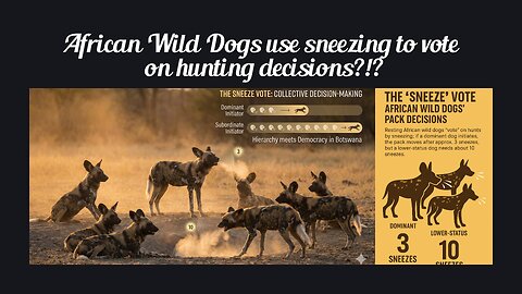 Fun Fact for Nov 23rd 2025 Pt 1