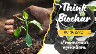 🌱 Biochar: The Black Gold of Regenerative Agriculture! 🔥