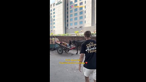 Beautiful Humans Helping Hurting Humans & Animals😍🥹