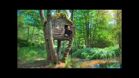 Building a Cozy Bushcraft Treehouse for Survival