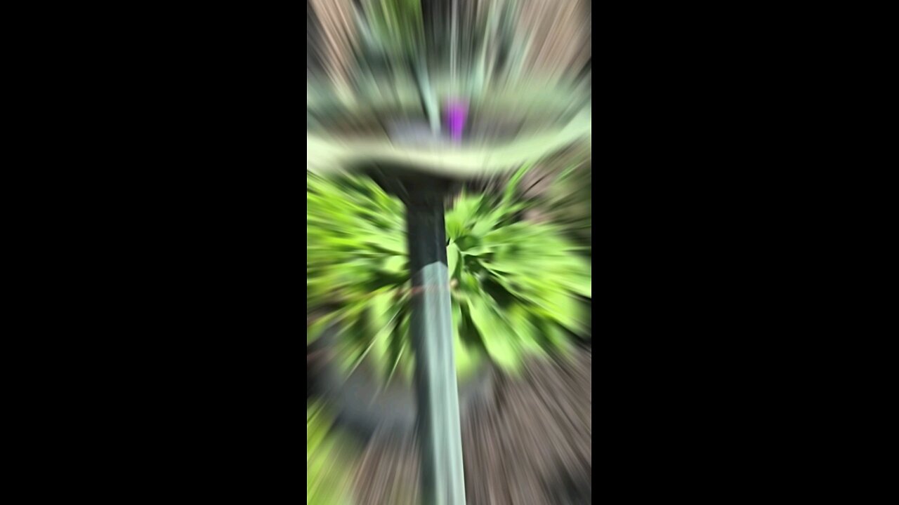 Beautiful landscape in the spring time