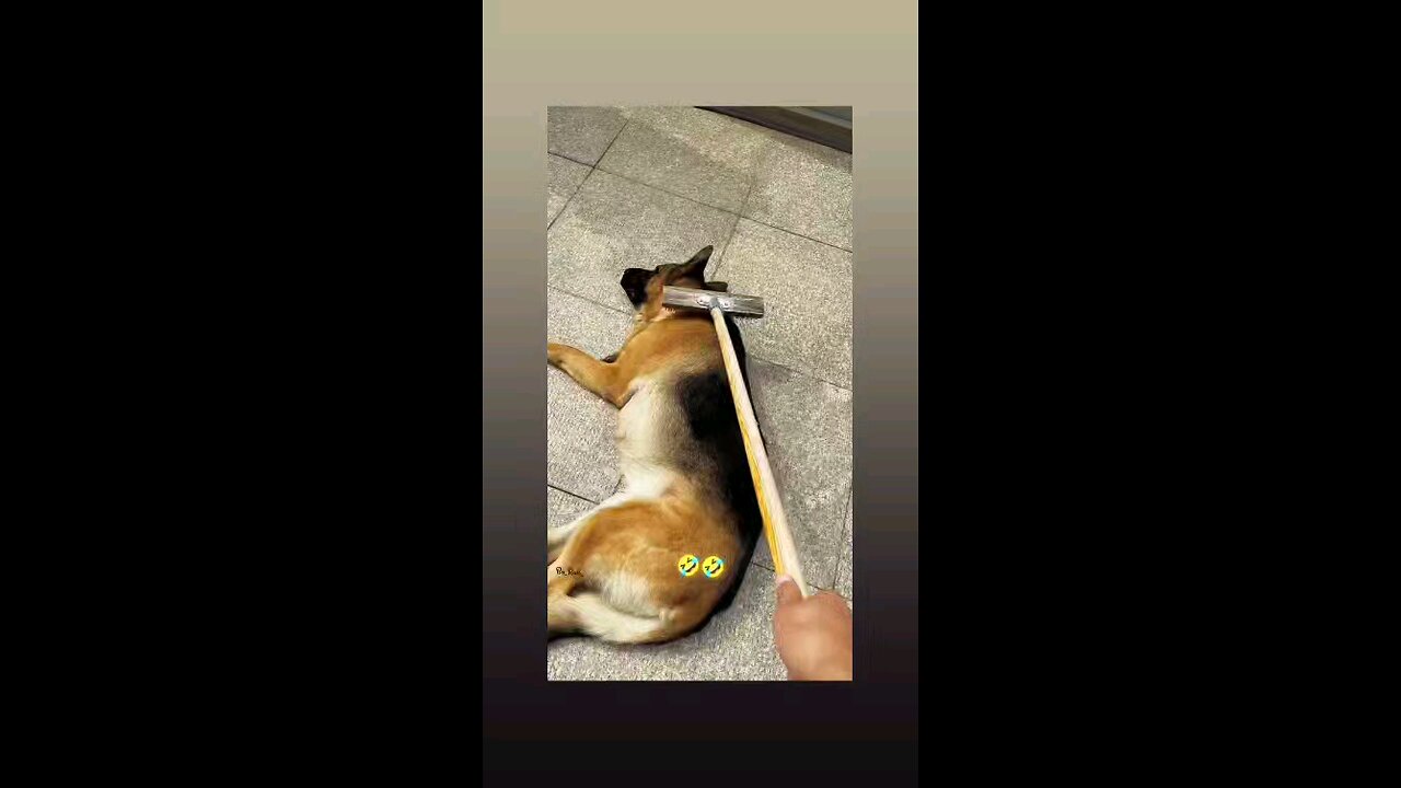 कघीं कर दो