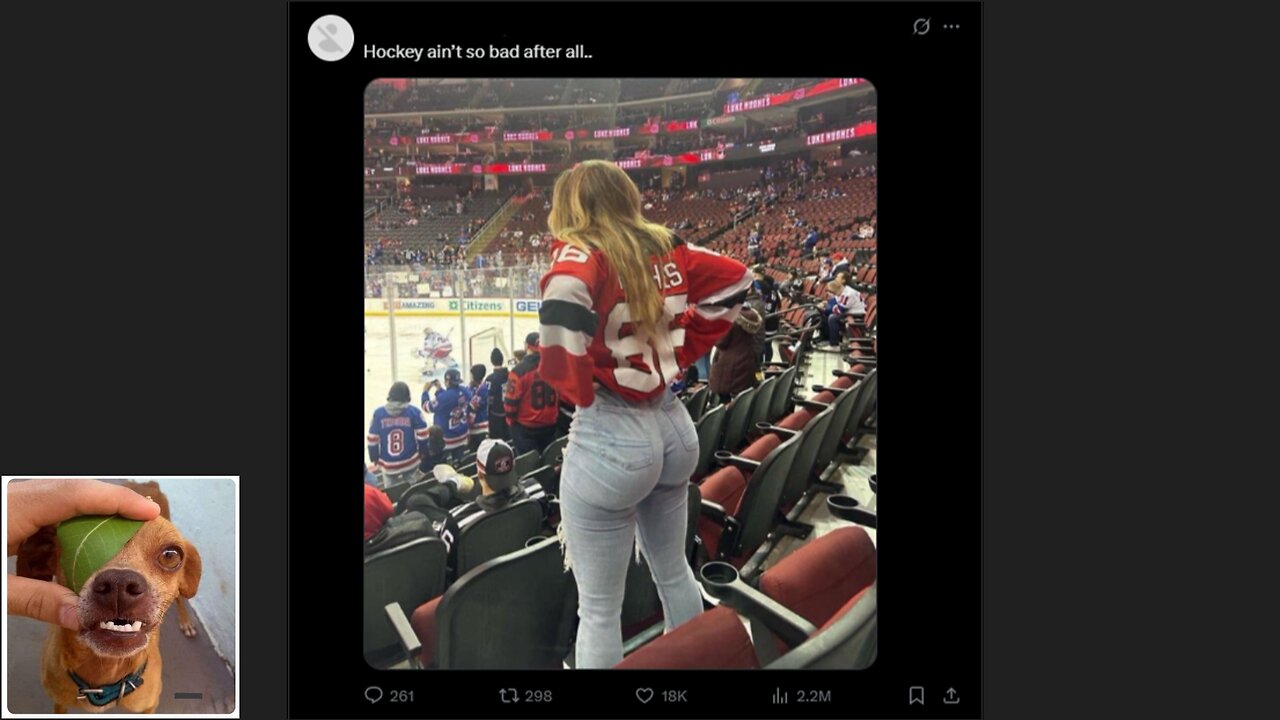 Memes That Will 99.0299% Make You Laugh. (e523)