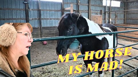 I'm OVERWHELMED And My HORSE Is MAD!