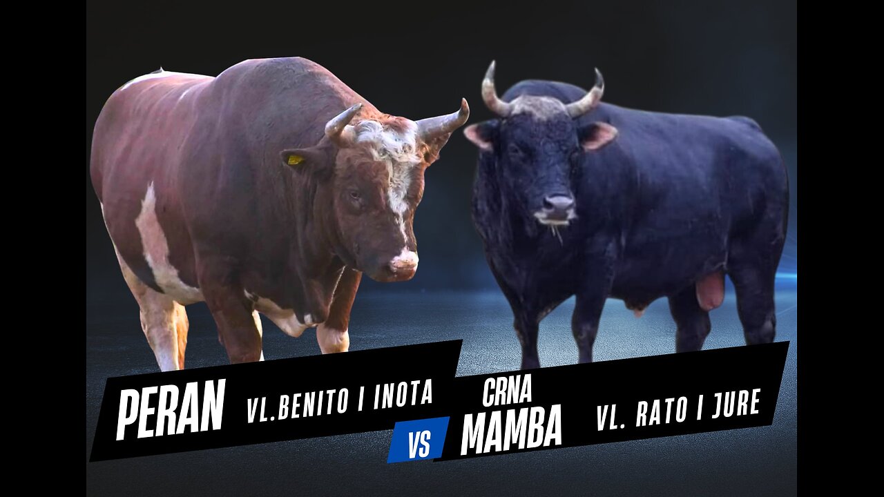 Peran od Benita vs Crna Mamba od Rate i Jure Dicmo