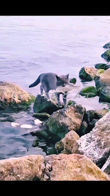 NEWSMAX2 LIVE | Real News for Real People? 🎉Happy birthday everyone