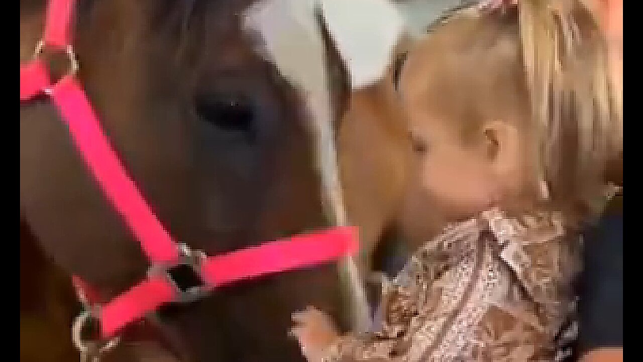 LAMB OF GOD - DAILY DEVOTIONAL ❤️