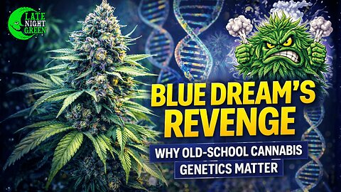 Blue Dream’s Revenge: Why Old-School Cannabis Genetics Matter