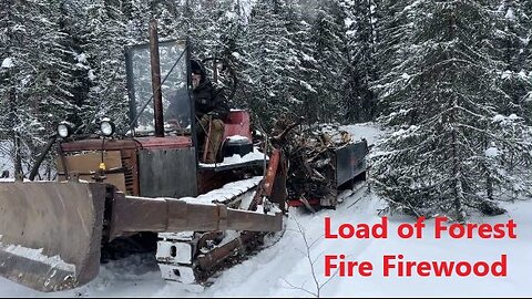 First Load of Forest Fire Firewood Dec 09 2025