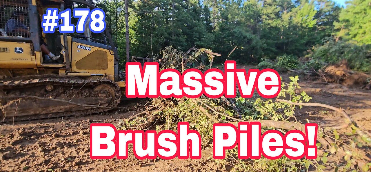 Piling Up Brush And Starting A New Logging Job❗️