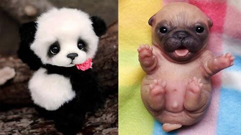Cute baby animals Videos Compilation cute moment of the animals - Cutest Animals #02