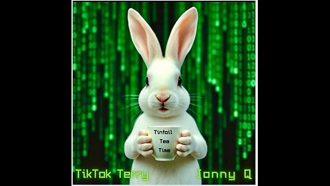 6-2-25 FIRST OFFICIAL "SOUNDS REASONABLE" SHOW WITH TINFOIL TERRY JONNYQ AND MAGAPUNCH