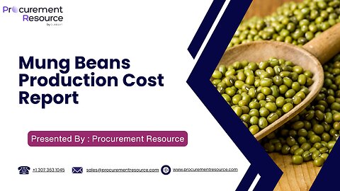 Mung Beans Production Cost Analysis Report